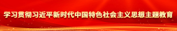 操骚穴视频在线观看学习贯彻习近平新时代中国特色社会主义思想主题教育